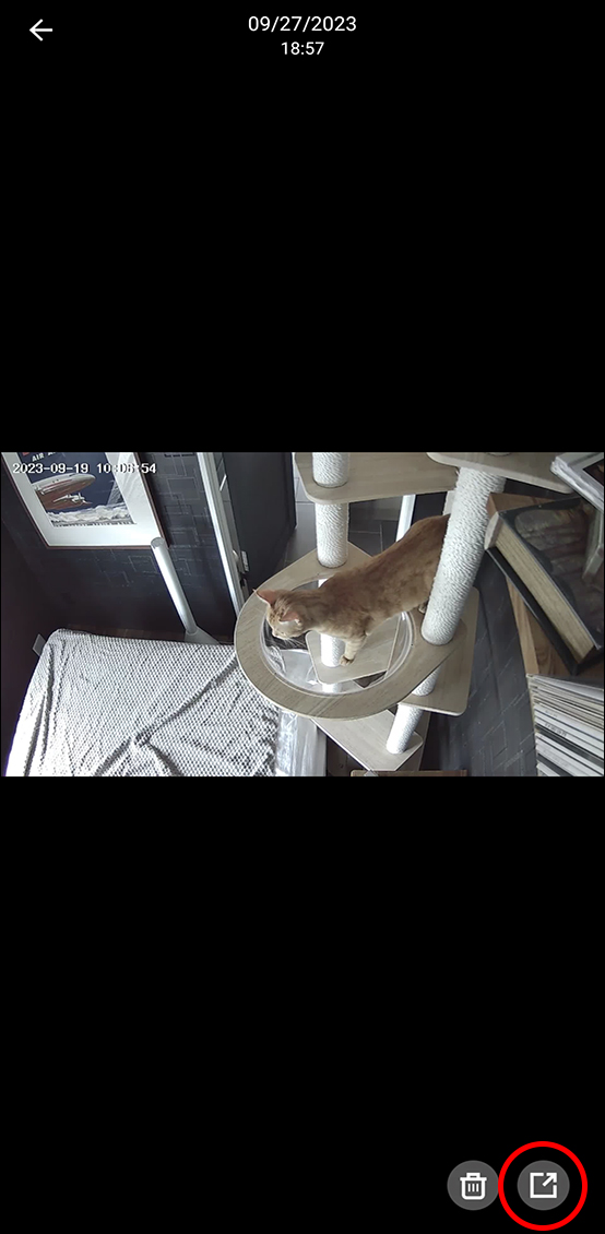 クラウドサービス